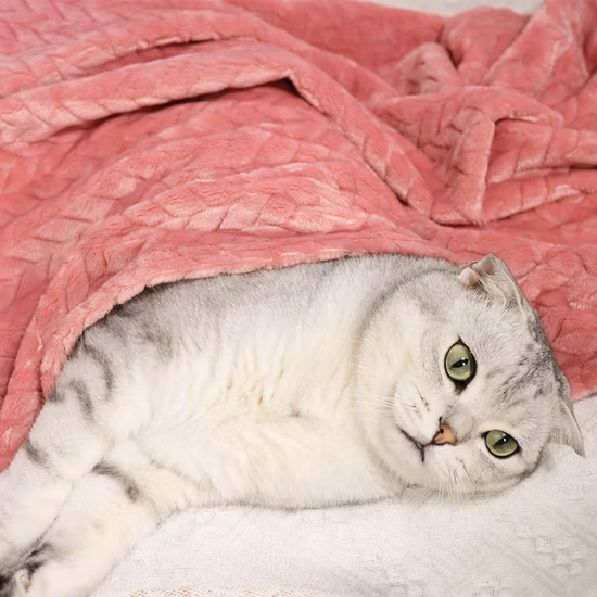 Manta para mascotas de varios tamaños de felpa cálida de primera calidad para perros y gatos